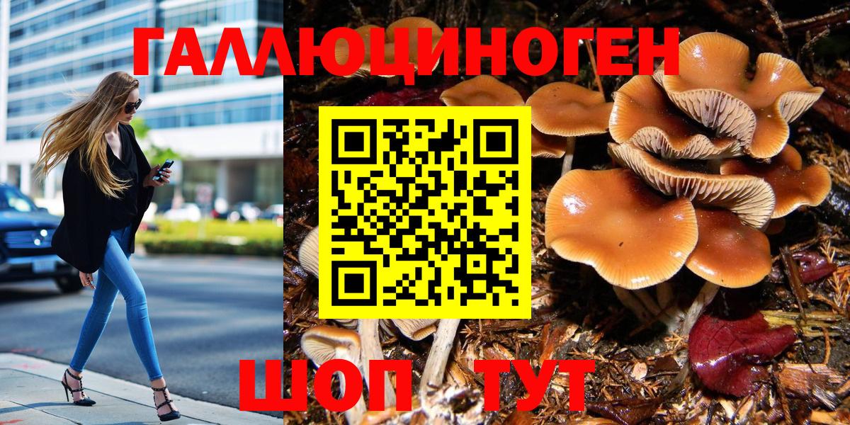Псилоцибиновые грибы мухоморы  Вход с VPN  Карачаевск 